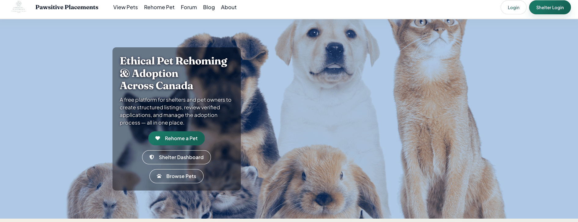 Pawsitive Placements screenshot