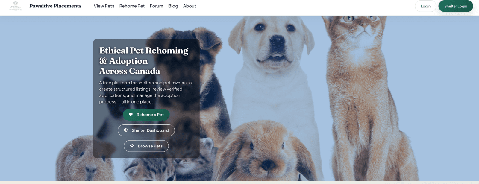 Pawsitive Placements screenshot
